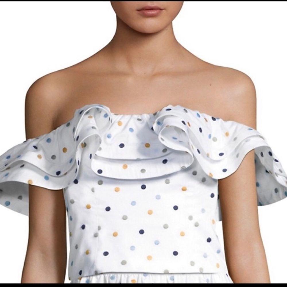 Prose and Poetry Crop Top Ruffled Polka Dot Top Antonia M